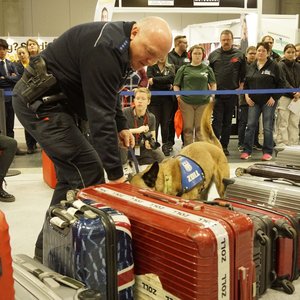 Chance 2023, Messeimpression