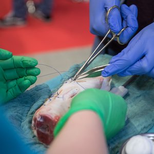 Chance 2020, Messeimpression