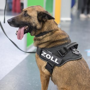 Chance 2020, Messeimpression