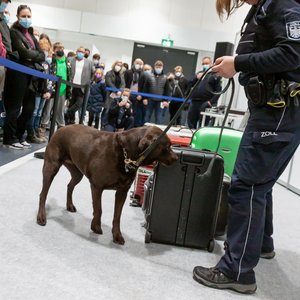 Chance 2022, Messeimpression