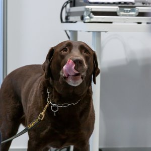 Chance 2022, Messeimpression